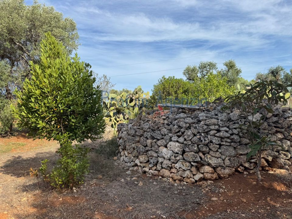 Helårsgrund i Carovigno, Brindisi - foto 4